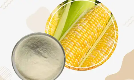 What is Hydrolyzed Corn Protein Powder and its Uses in Food?
